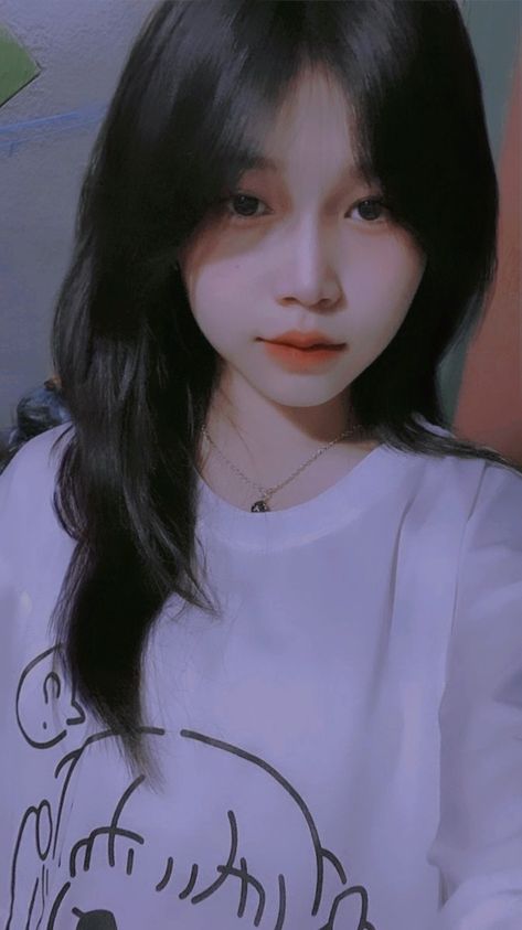 会长是女仆大人动画